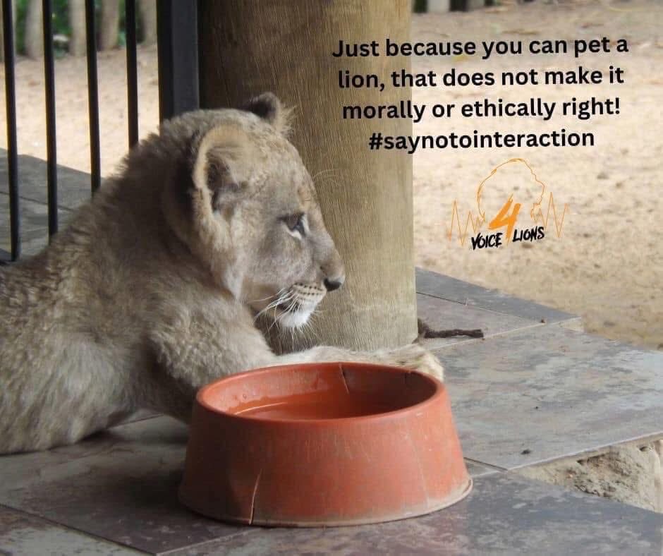 LindaPa60824893's tweet photo. #BeTheirVoice. #SayNoToInteraction https://t.co/9ya8NPLFXo