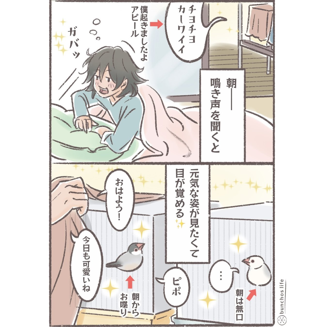 こむぎ🕊️ (@komugi_chan55) / X
