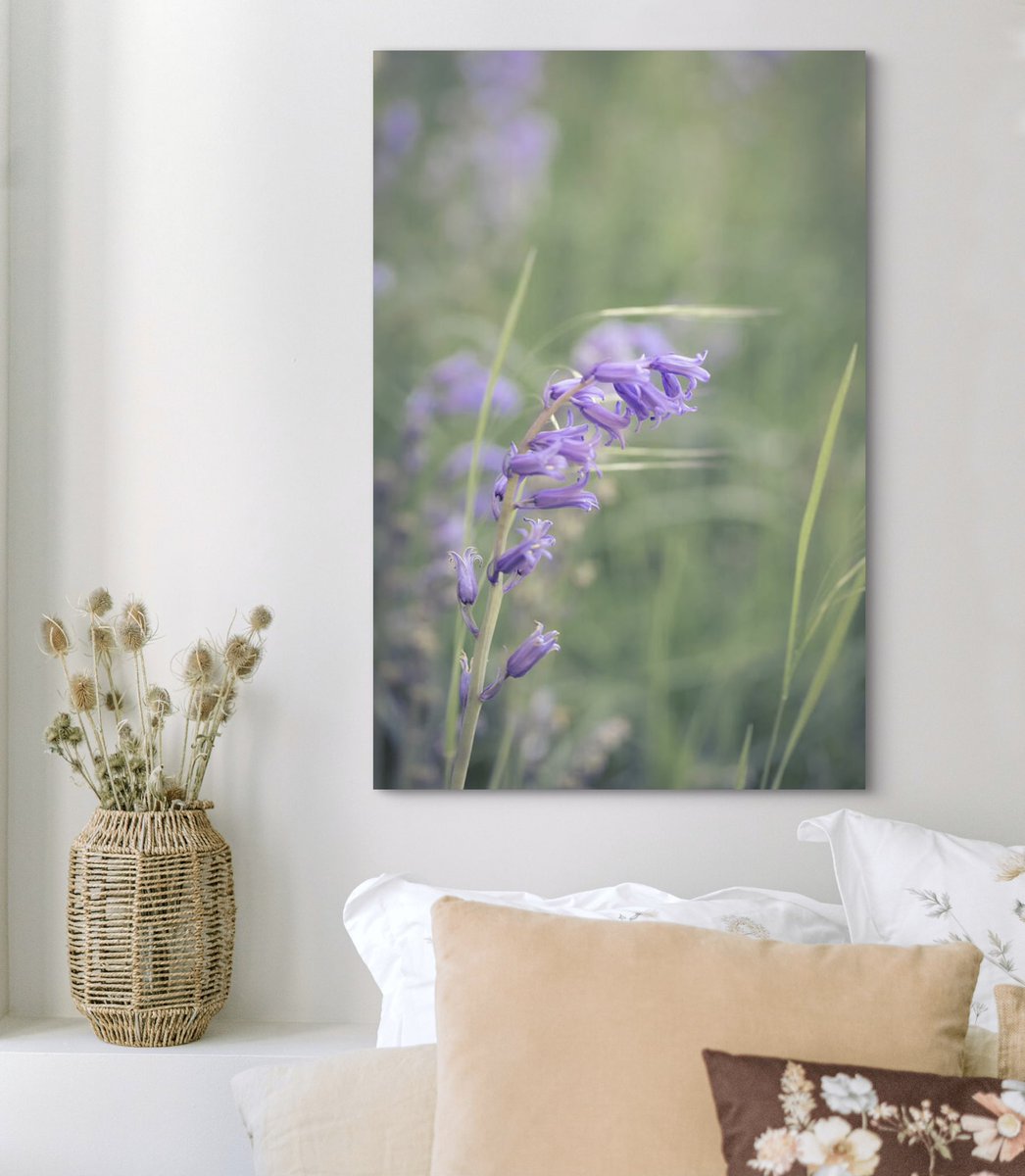 Bluebells Blowing In The Wind fineartamerica.com/featured/blueb… #bluebells #flowers #wildflowers #floral #prints #wallartforsale #photography #PhotographyIsArt #buyintoart
 #interiordecor #homedecor #gifts #giftideas