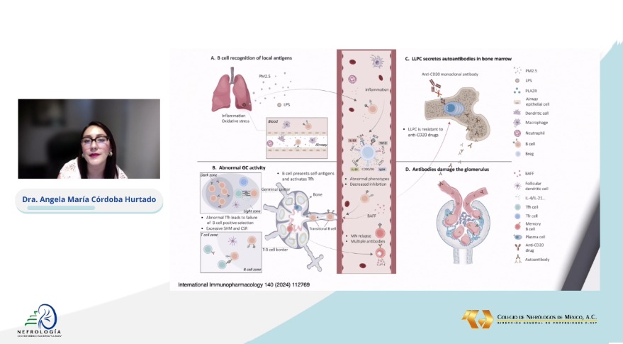 nefrocmnlr's tweet photo. Permanece con nosotros y la Dra. Maria Ángela Córdova Hurtado, con "Nuevas estrategias de tratamiento en nefropatía membranosa"
@AngelaCordobaH @glomerulovers @hgm_nefrologia
#Nefrologia #6ForodeNefrologia #CMNLaRaza  #ColegiodeNefrología https://t.co/kYRFiYV2Dx