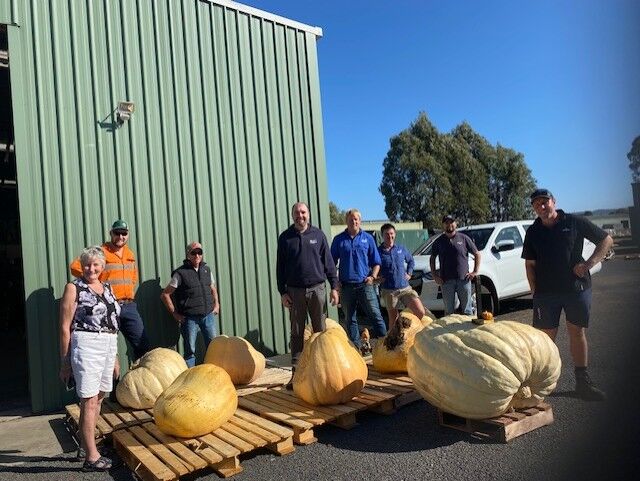 Muirs.Tas tweet media