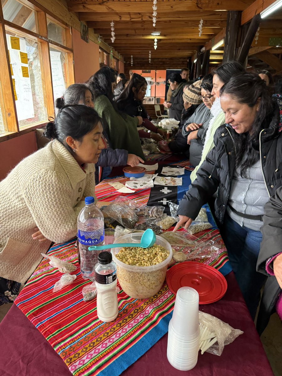 RNamku's tweet photo. Se realizó Xafkintu entre mujeres mapuche. El trueque siempre fue una manera de comercializar nuestros productos también se vivió en este encuentro de Mujeres Mapuche en lof Puel https://t.co/j8UjPjPrnP