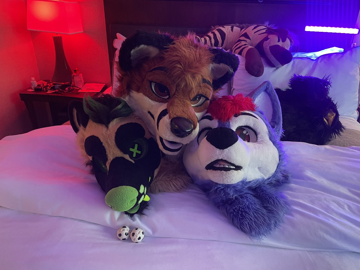 touchdown! #FWA 
---
<a href="/KC__Yeen/">Pup Casey / KC Yeen 🔜 AFC</a> 
<a href="/HomeRunLuis/">🦊 𝙇𝙪𝙞𝙨 𝙁𝙤𝙭 🏹</a>