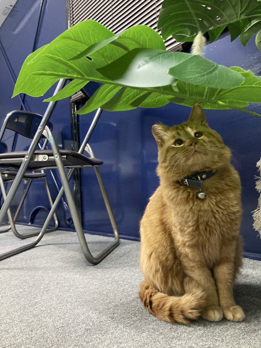 雨宿りみたいに見える😃