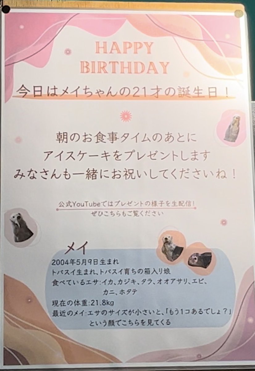 お知らせカワイイ🎂🦀🦑🦐

#鳥羽水族館 #メイちゃんのお誕生日 #ラッコ