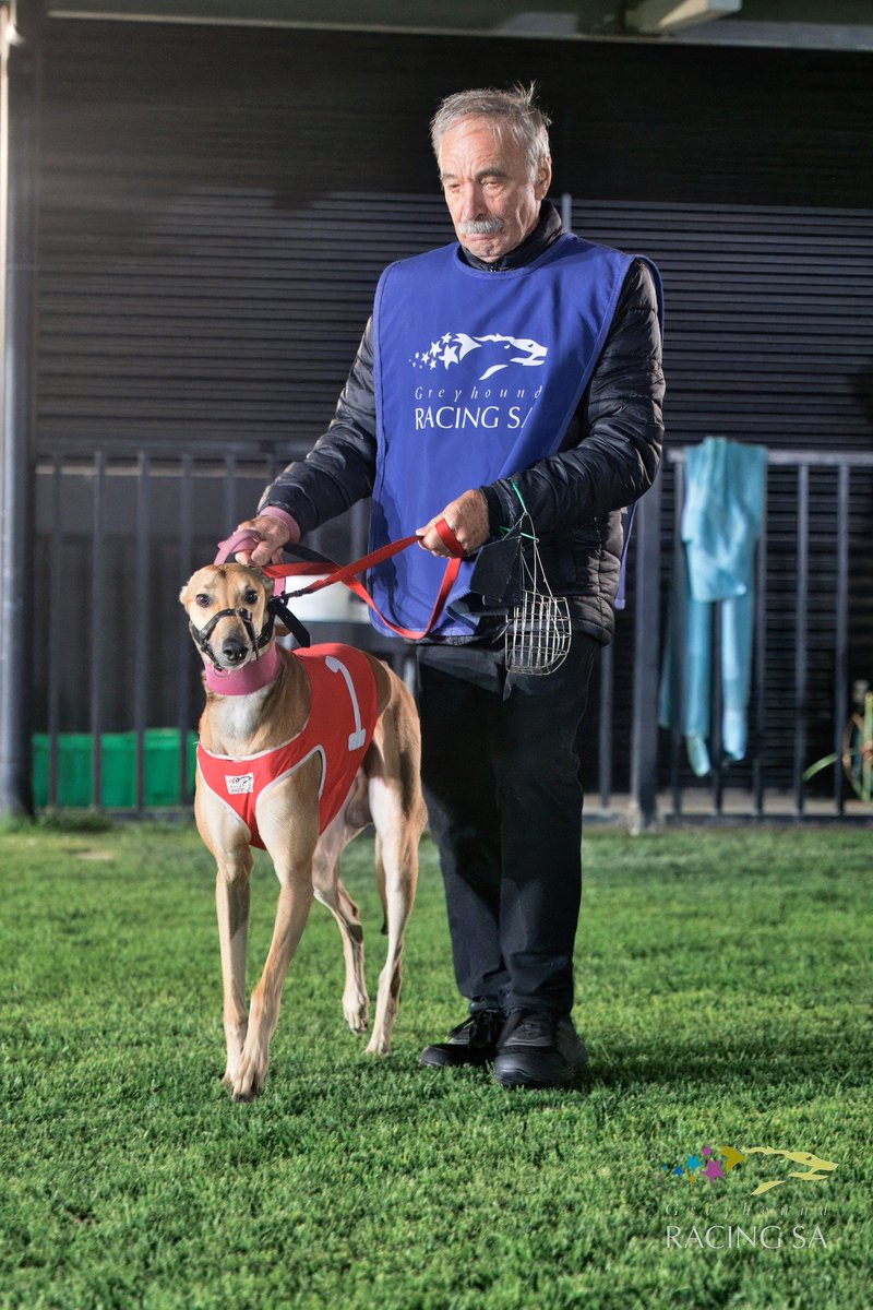 That time of the fortnight again followers in which we have a breakfast meeting at Angle Park tomorrow.

With a 10 race program and the first jumping at 7.52am local time. I'll be throwing up my tips here later tonight  when fixed odds markets are released on <a href="/tabcomau/">TAB</a>.

Cheers.