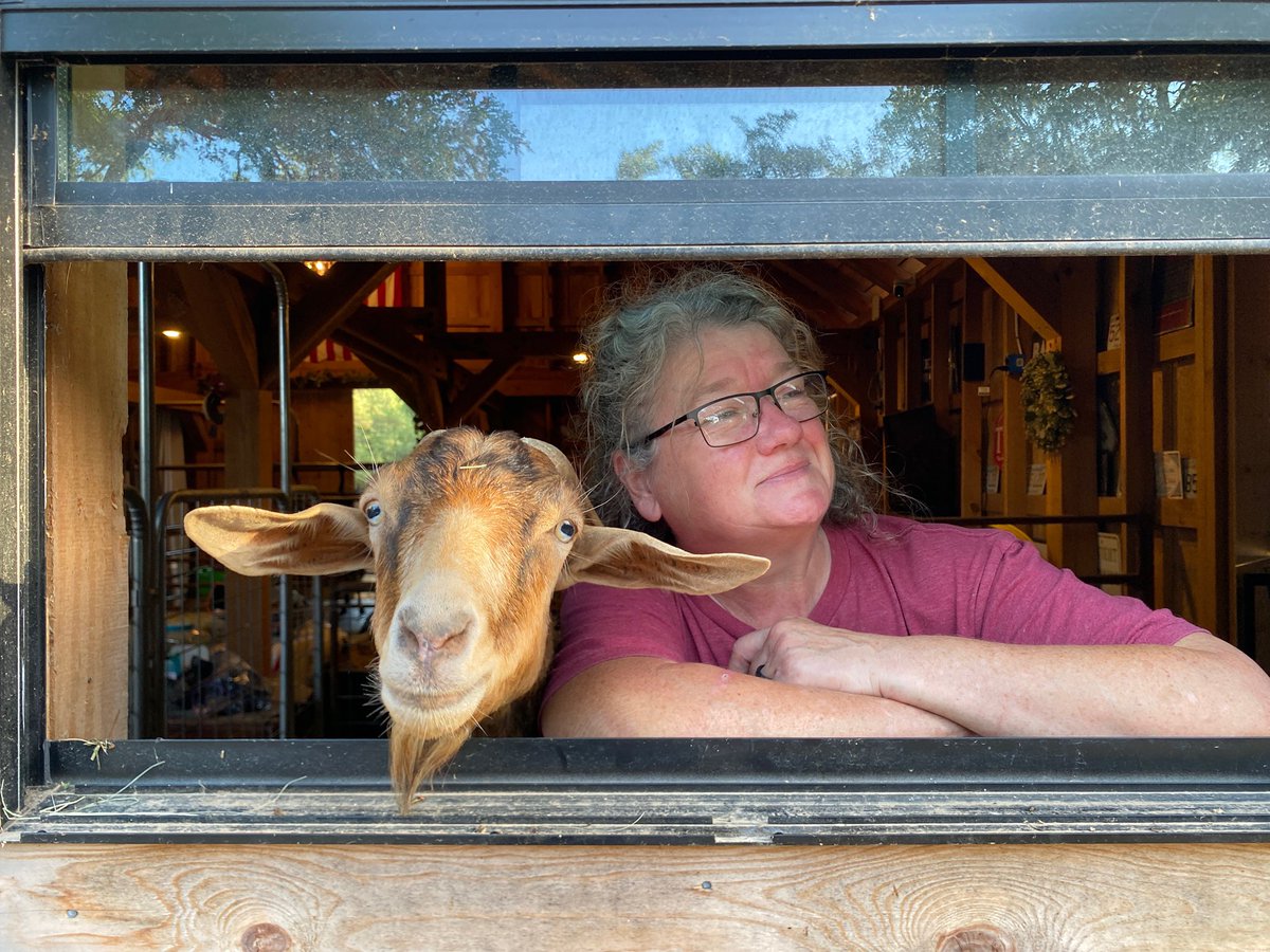 FluffyBottomsFarm tweet media