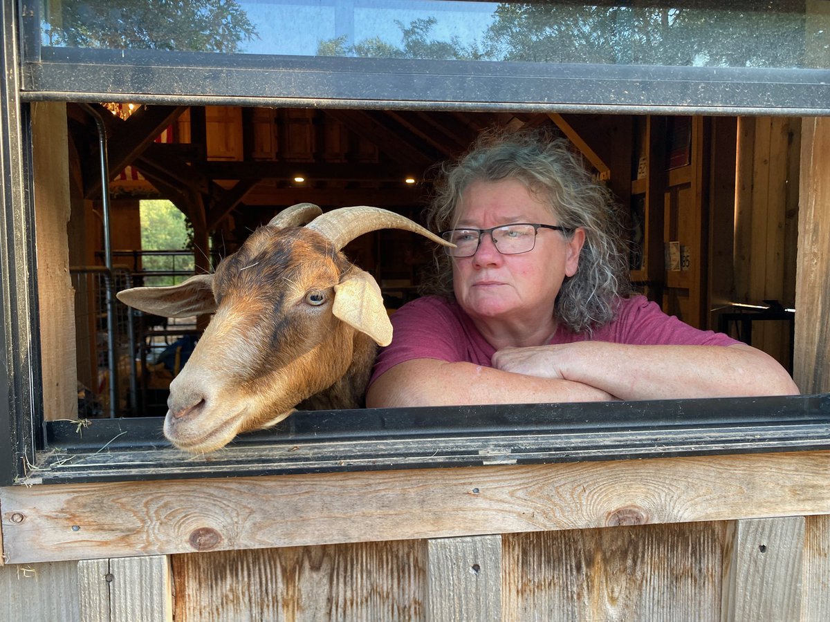 FluffyBottomsFarm tweet media