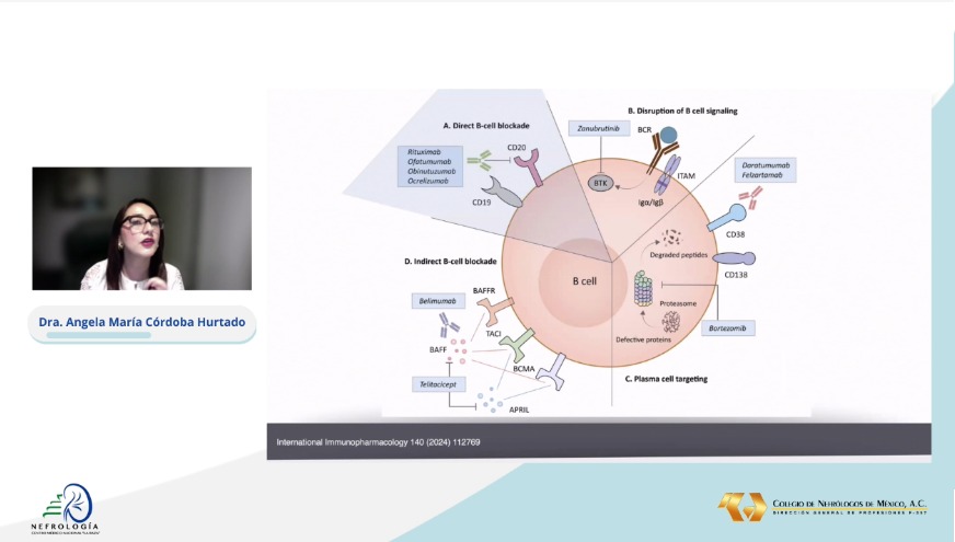 nefrocmnlr's tweet photo. Agradecemos la extraordinaria ponencia de la Dra. Ángela Córdova Hurtado, dando cierre a este 2do día de actividades. 
@AngelaCordobaH @glomerulovers @hgm_nefrologia
#Nefrologia #6ForodeNefrologia #CMNLaRaza  #ColegiodeNefrología https://t.co/KKqQIuoJRW