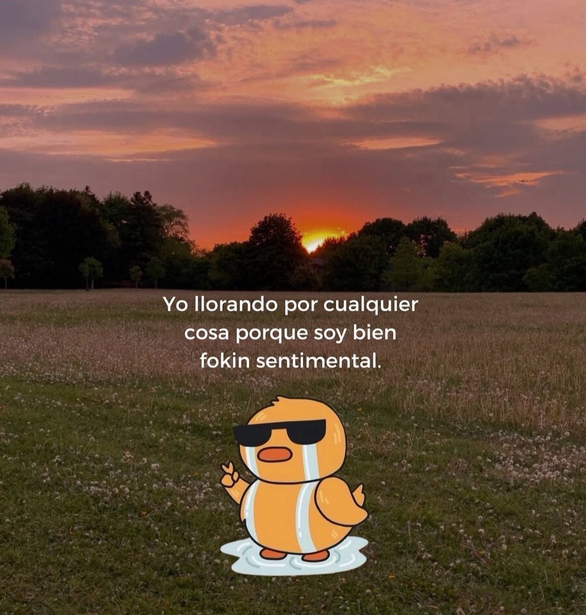 dilocondibujos_'s tweet photo. Soy https://t.co/KrTXeW2c2q