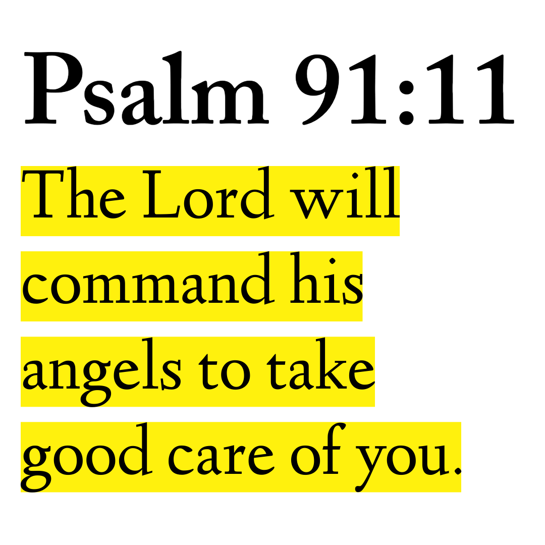 Holy Bible tweet media