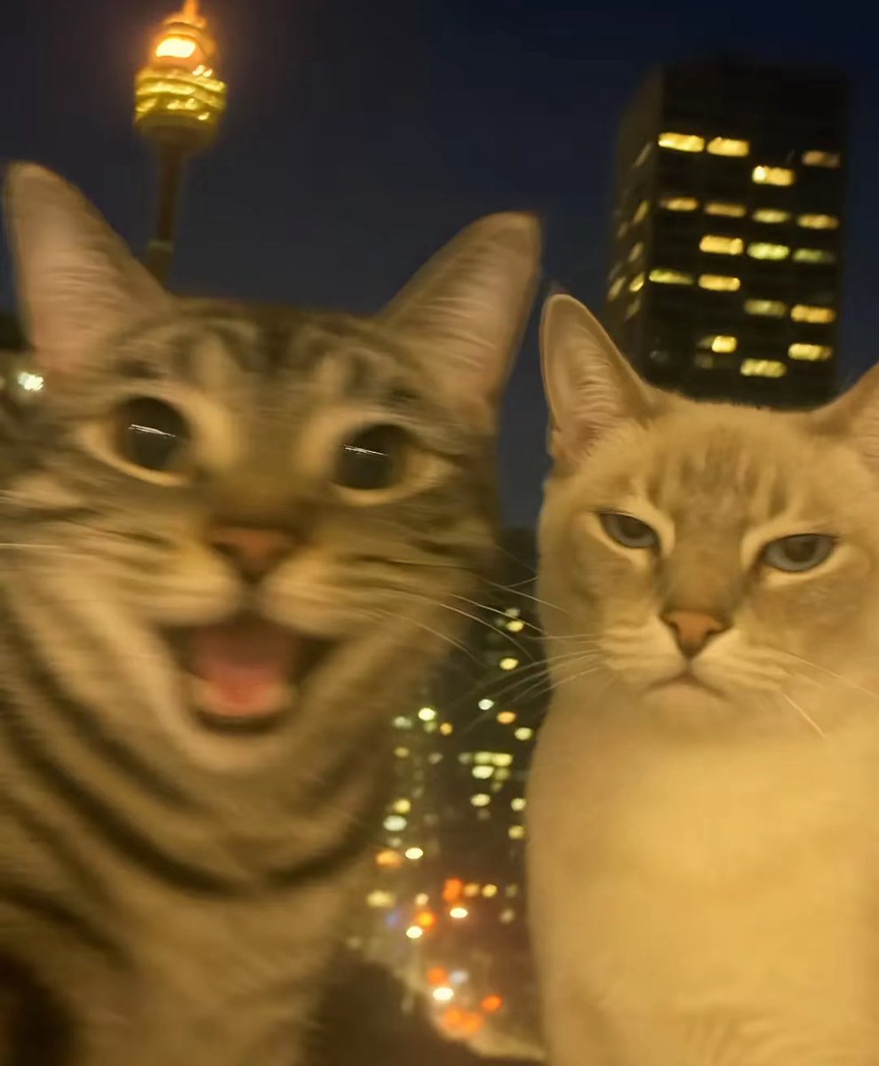 Me and the bad bih I pulled from being funny