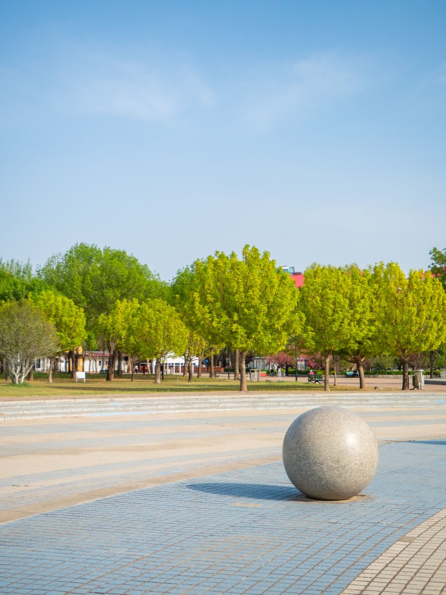 VisitBeijingcn's tweet photo. Named after the historic Changchun Garden—part of the “Three Mountains and Five Gardens”—Changchun #Park carries the charm of classical gardens and natural beauty. it’s a great place to relax, exercise, or enjoy time with family and friends. #BeijingParks #VisitBeijing https://t.co/LjEZ2kefPa