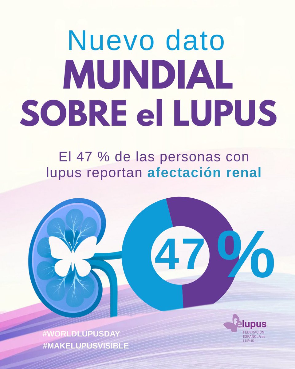 Federación Española Lupus | #CONGRESOLUPUS25 tweet media