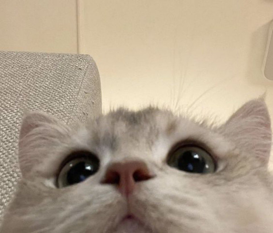 วันนี้แกรดแล้ว ไว้มาไลฟ์อยู่ด้วยกันน้า แต่กี่โมงอะ