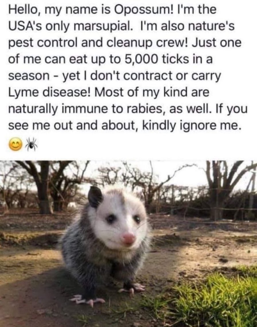 german (@german88044626) on Twitter photo 