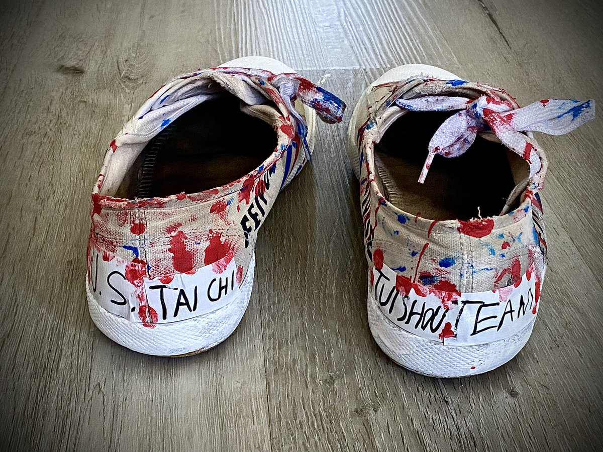 Sports Tai Chi Push Hands - Coach Jan Lucanus tweet media