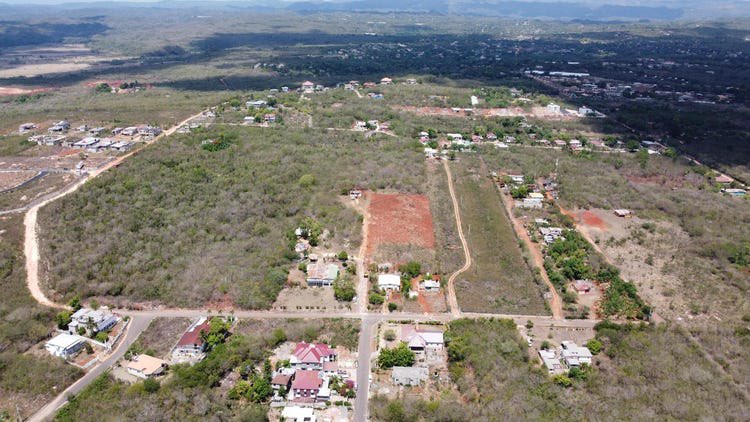 Simon Johnson tweet media