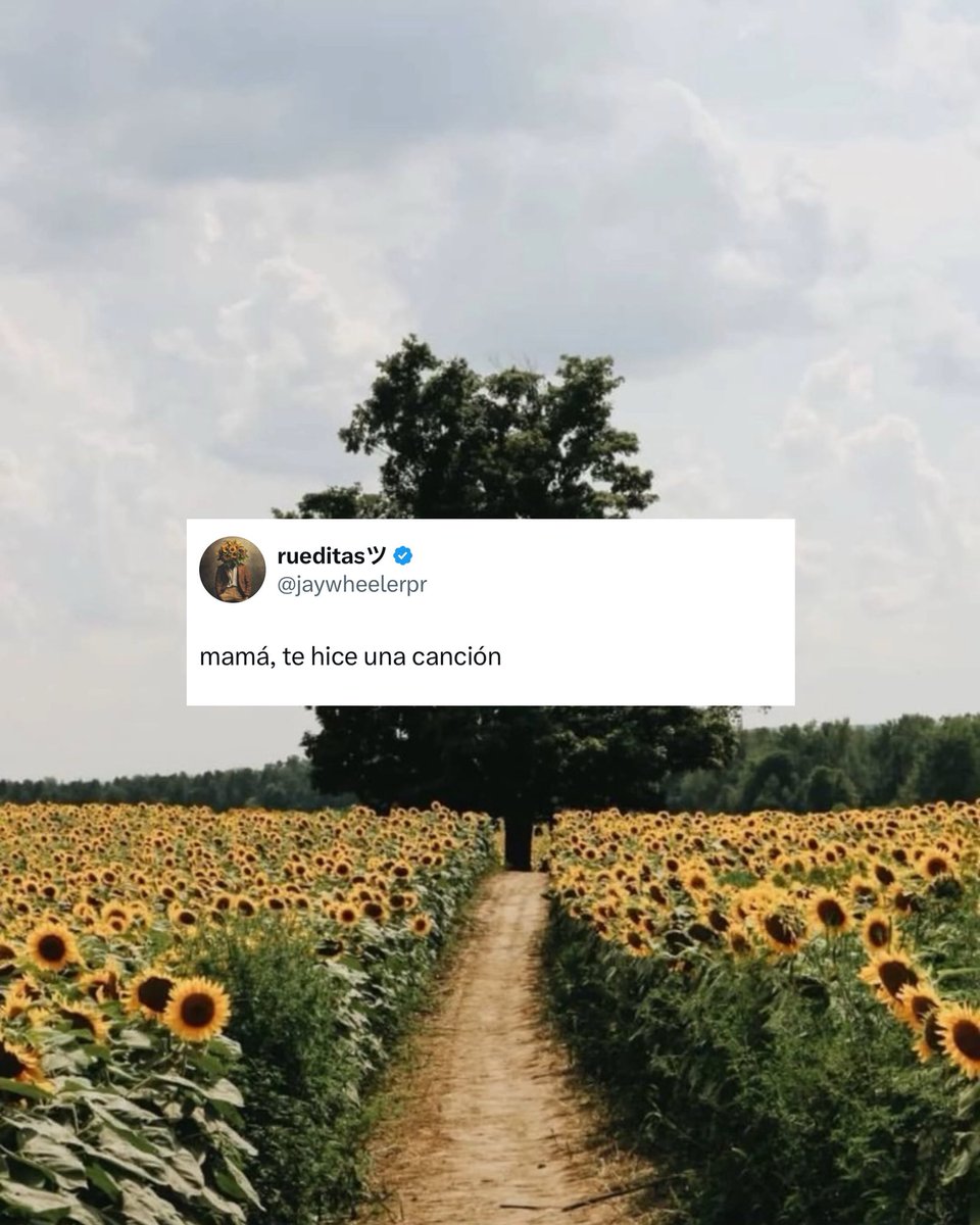 Track Loading…
🌻💛🤔 <a href="/jaywheelerpr/">el papá de aiunii ツ</a>