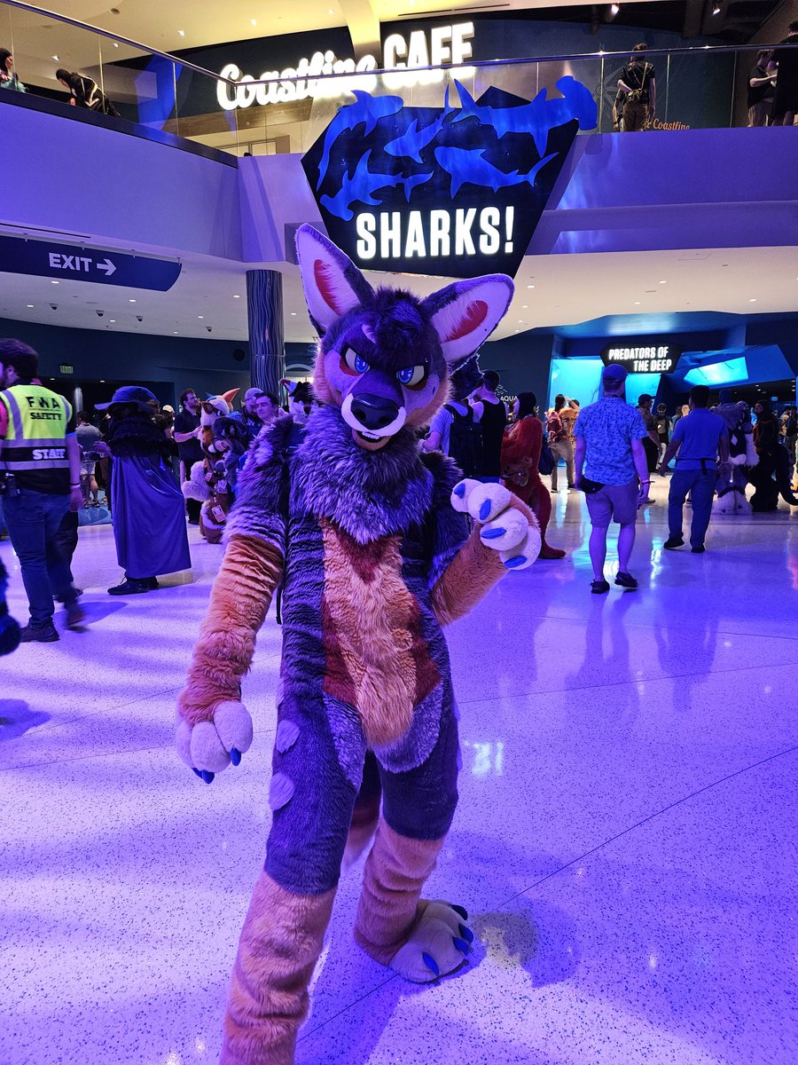 Antares at FWA Aquarium Takeover <a href="/StellarAntares/">Antares ✈️</a> #FWA2025