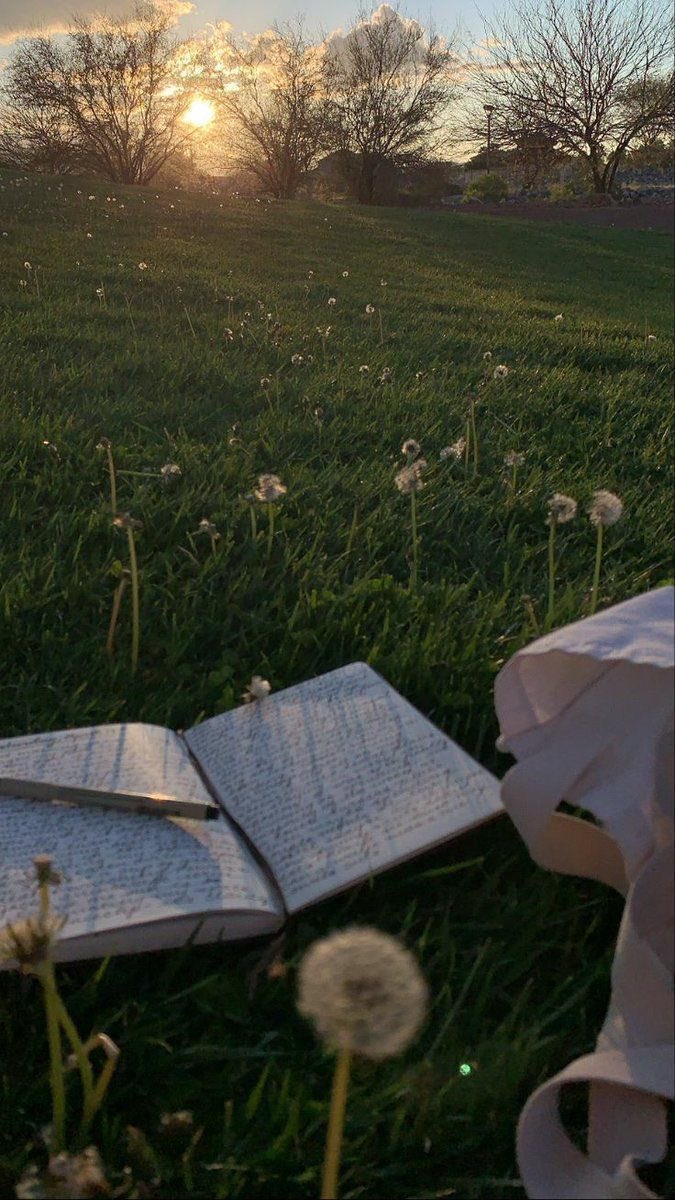 stijnstooftall's tweet image. I already know how the chapter might go,
but I still want to hear you tell it 🥇