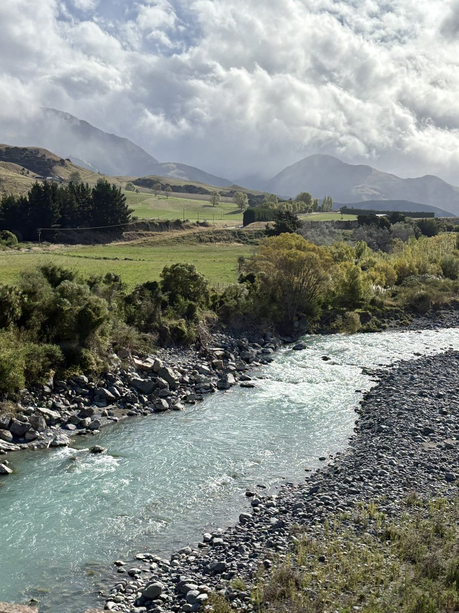 VinceTaskunas's tweet photo. some highlights from our recent #Tranzalpine #CoastalPacific journeys from Picton-Kaikoura-Christchurch and Christchurch-Greymouth. Loved every minute of it
@GreatJourneysNZ brilliant way to travel #NZ https://t.co/6zvkSVLsM8
