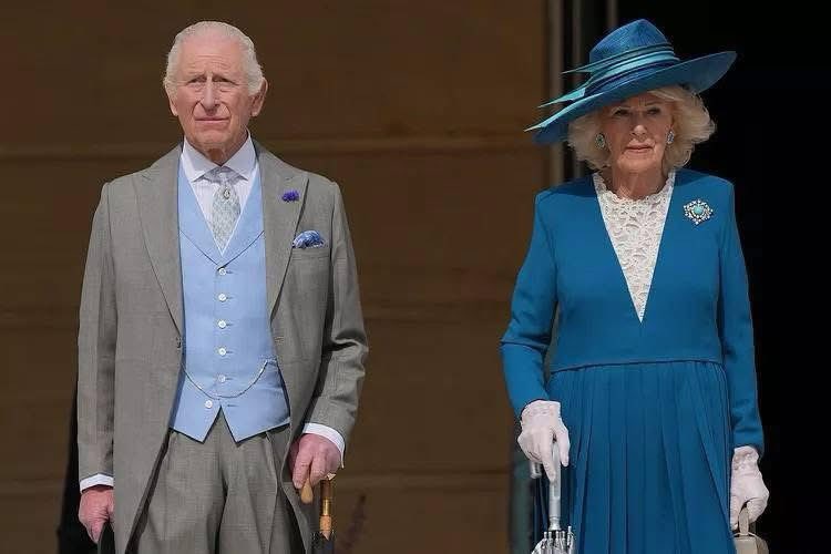 Peter Bush tweet media