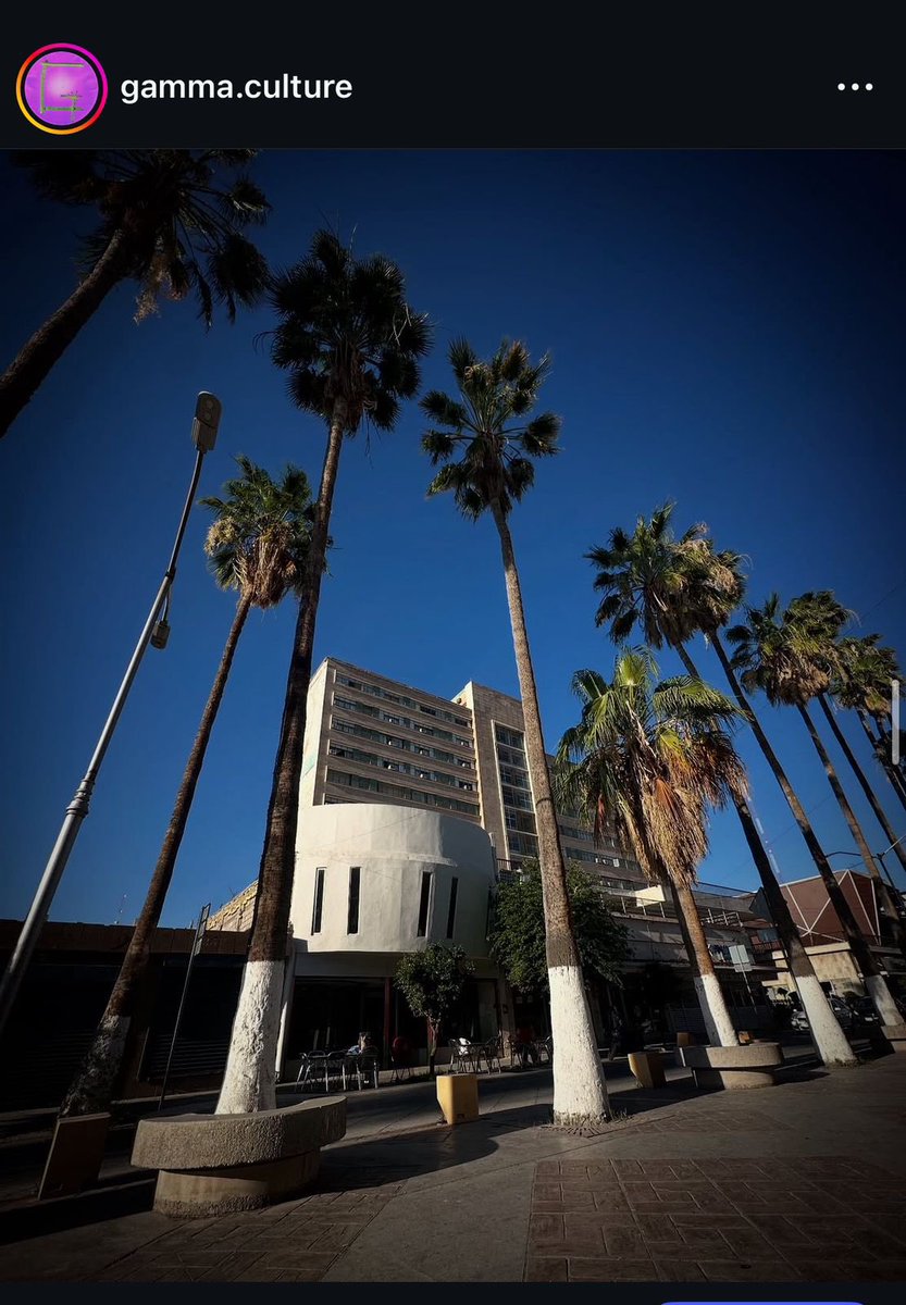 Sigo en Torreón y Tolvanera de voces🌪️🔮 se presentará en Alfresco, festival de arte, el domingo 18 de mayo en Gamma Culture en #Torreón a las 3 pm. Van a leer morras laguneras chingonas, ¿le van a caer o qué?🔥

🧡 Más info: instagram.com/alfresco.trc?i…

Les dejo el programa de ambos