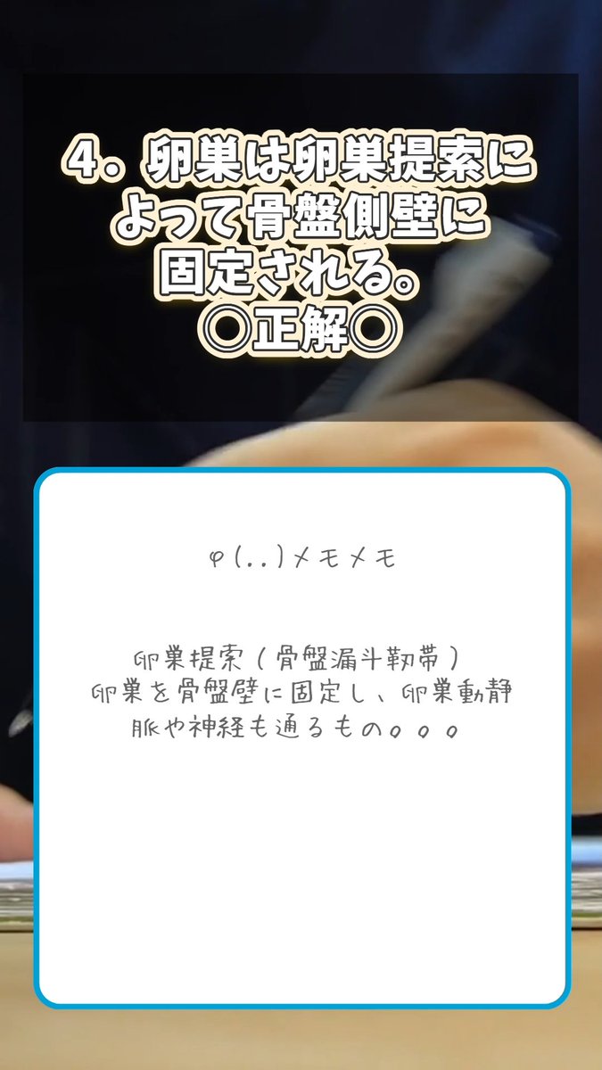 【解説】
　問題 18 卵巣について正しいのはどれか。

これからも「いいね」と「投票数」が多いものを解説します。
→どんどん投票してね

#過去問解説