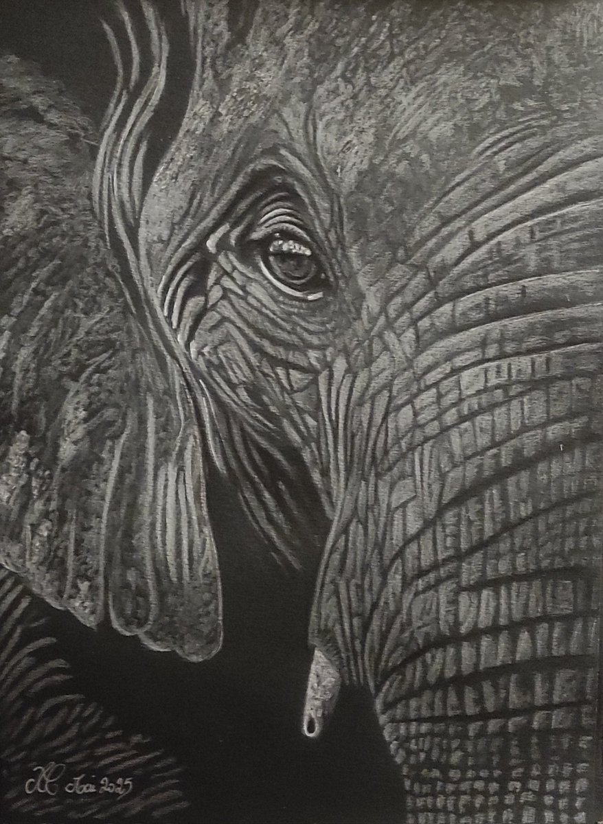Dark_Lady_Dream's tweet photo. J'ai ressenti l'appel du crayon et c'est une merveilleuse matriarche qui est venue passer la journée, la soirée et une partie de la nuit avec moi... Merci à elle 🙏♥️
Quelle belle présence pour honorer l'animal totem de l'éléphant 🥰🧚🐉🧙🧞✨
#Cocomilady
#drawingart #elephant https://t.co/1nfxmulTHx