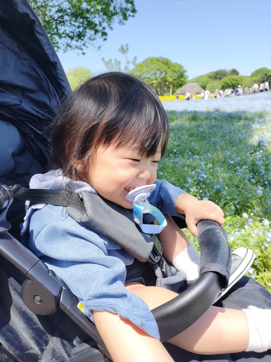 AkumaYun's tweet photo. 久々の投稿だけど
元気に過ごしてます🙂
(GWはネモフィラ見に行きました) https://t.co/8vxSkQyS0A