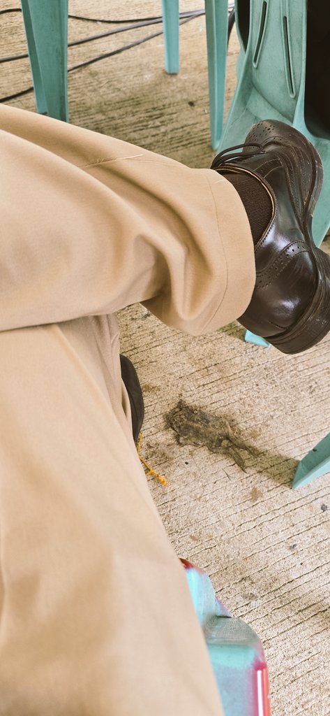 Gaganap bilang singkwenta pesos...