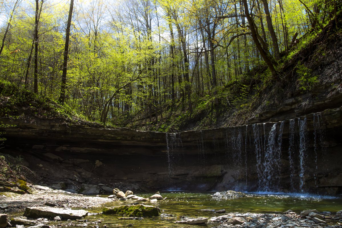 Greening up nice now, finally.