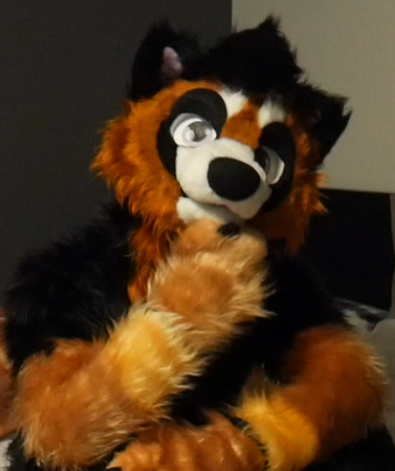 TobiRedPanda's tweet photo. Hmmmm... https://t.co/vNxMMo732S