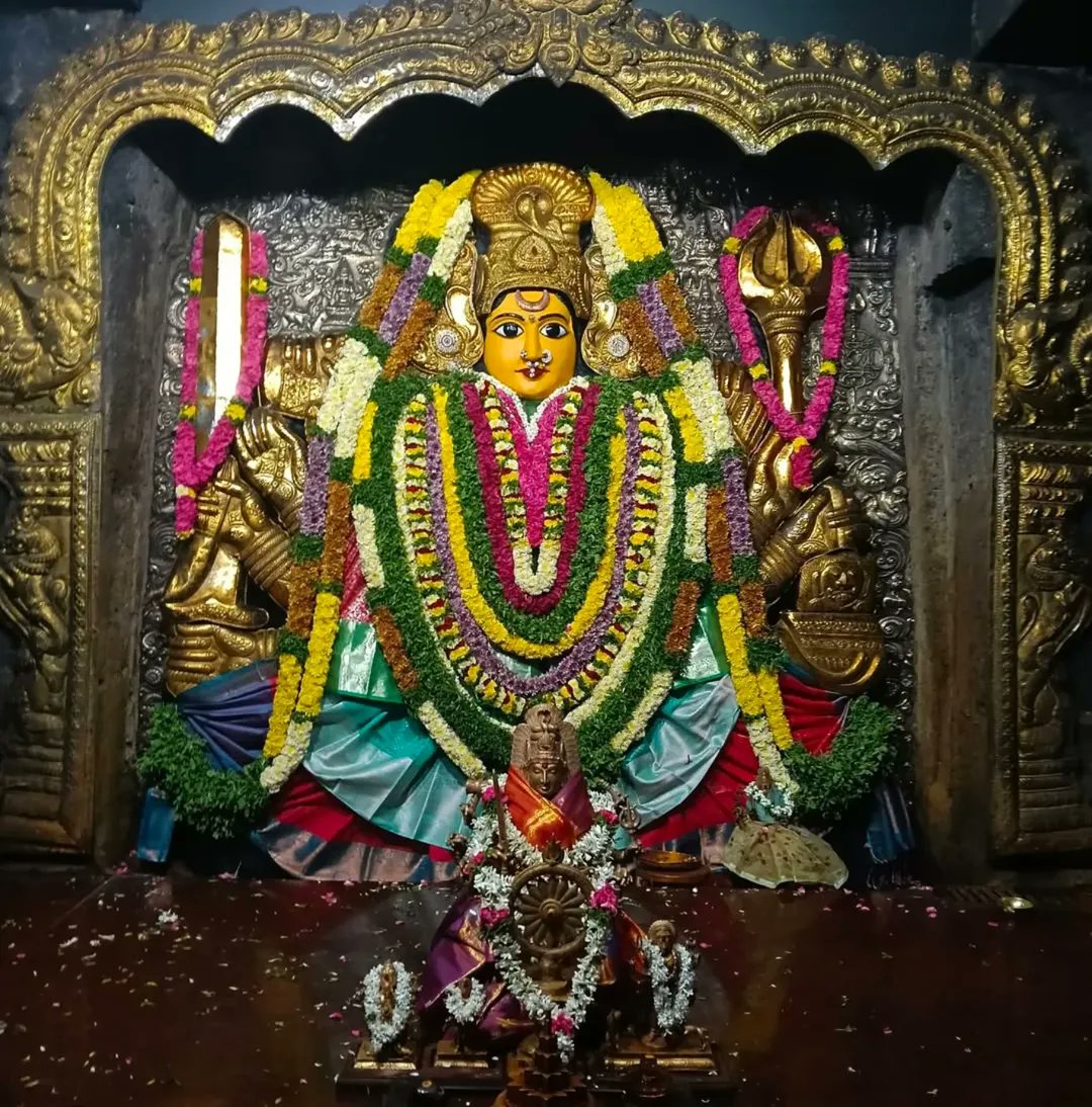 Hi Warangal tweet media