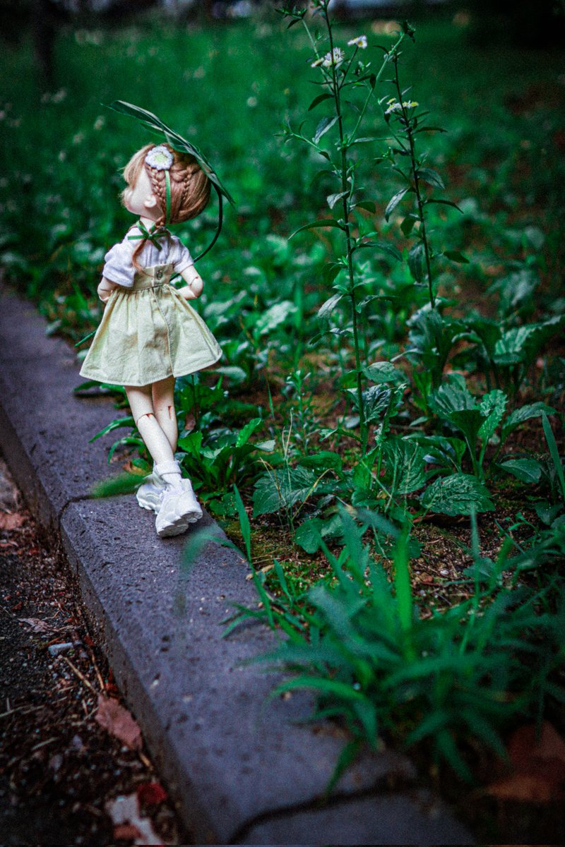 대롱대롱 풀잎마다 총총