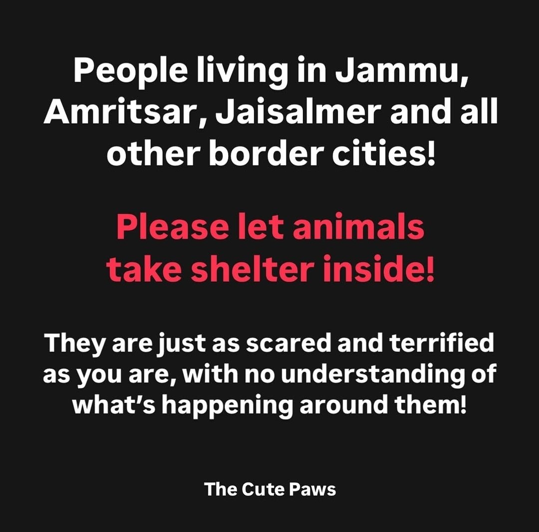 Please let's be kind to everyon🙏🏻

#IndiaPakistanWar #Jammu #Amritsar #Jaisalmer #Punjab #Rajasthan #Poonch #Strays #Animals #bekind #kind