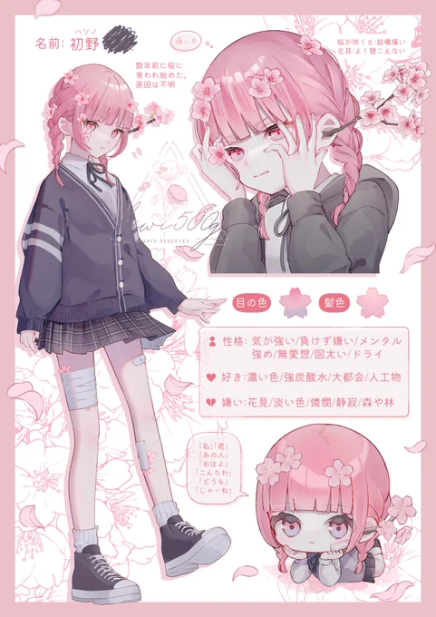 🌸🩹設定 