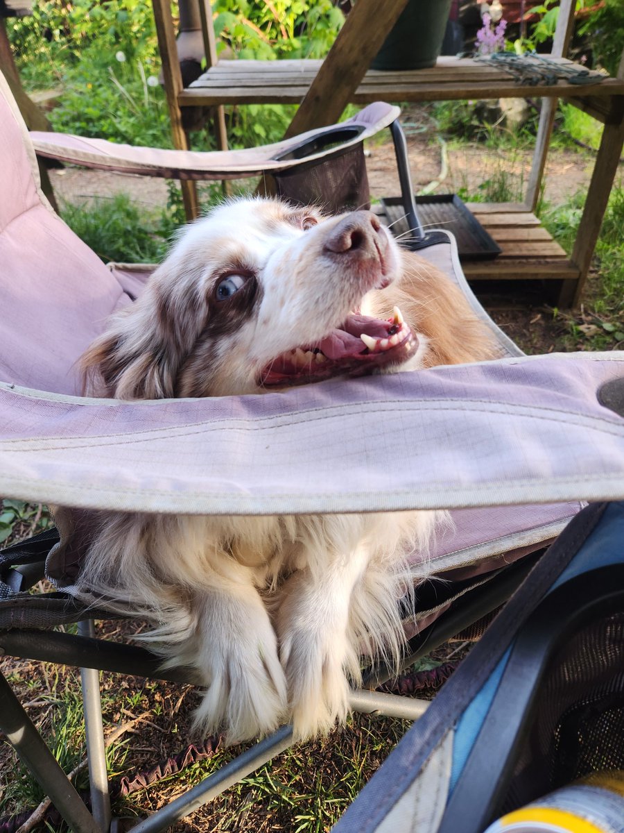 If you're not dogmaxing... 

I don't know what to tell you