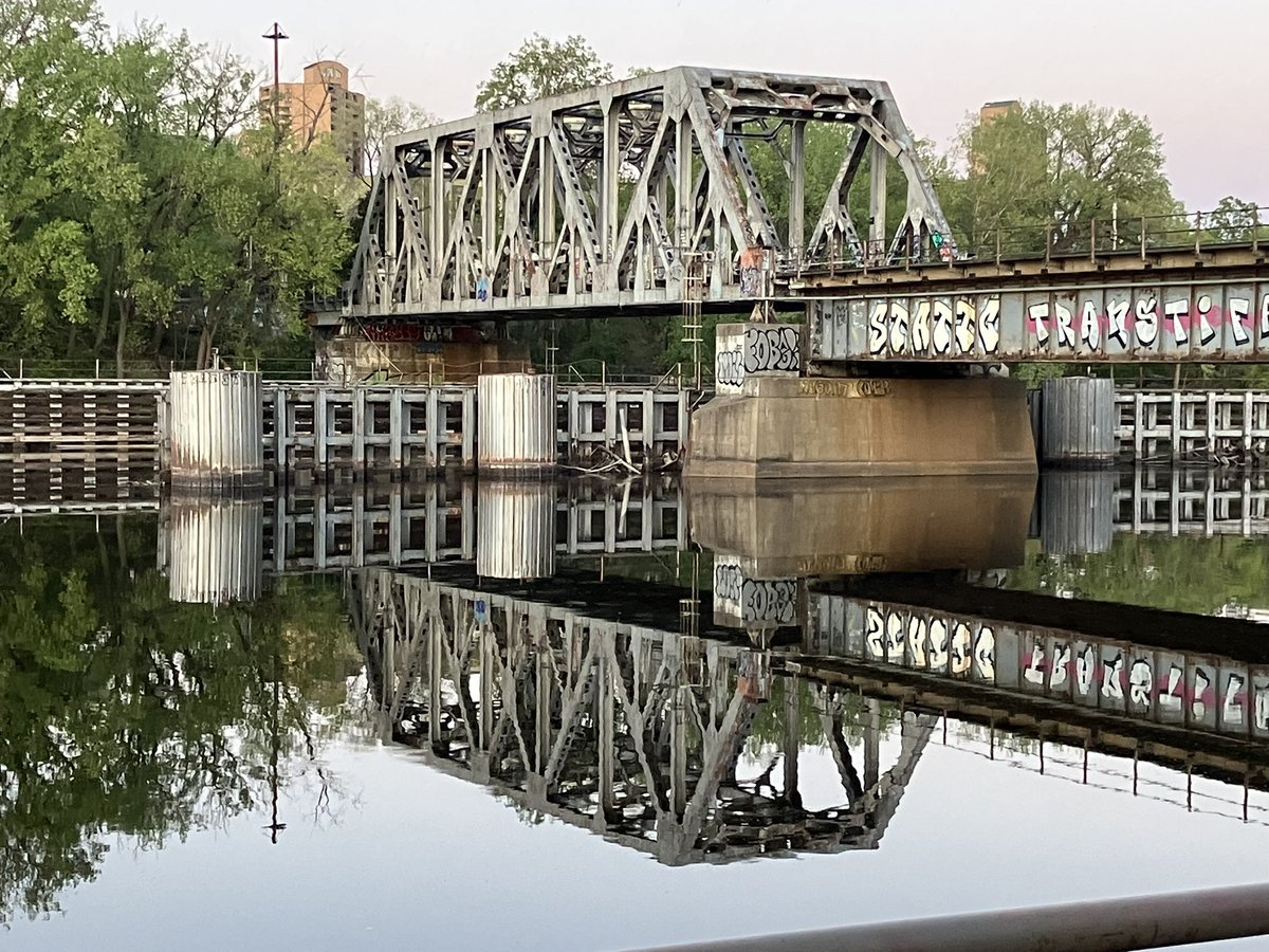 CallaghanPeter's tweet image. Mirror pond or Mississippi River?