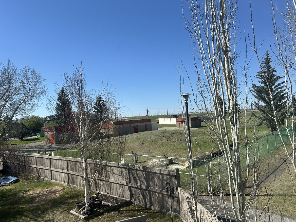 Charlene May tweet media