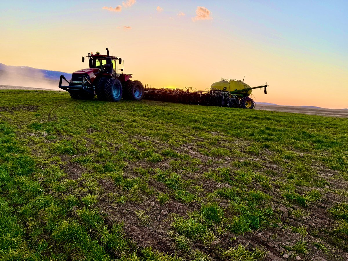 It’s no RX but it still takes a nice sunset photo 👌