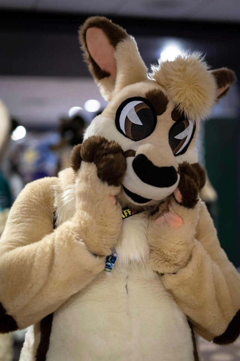 Furry Migration (@furrymigration) on Twitter photo In just a week, The Gala shall open room party applications! 
Have an idea for your own grand ball, tea time, or any other fantastic social gathering during the con? Start planning, and submit your application for a room party starting next week! In just a week, The Gala shall open room party applications! 
Have an idea for your own grand ball, tea time, or any other fantastic social gathering during the con? Start planning, and submit your application for a room party starting next week!