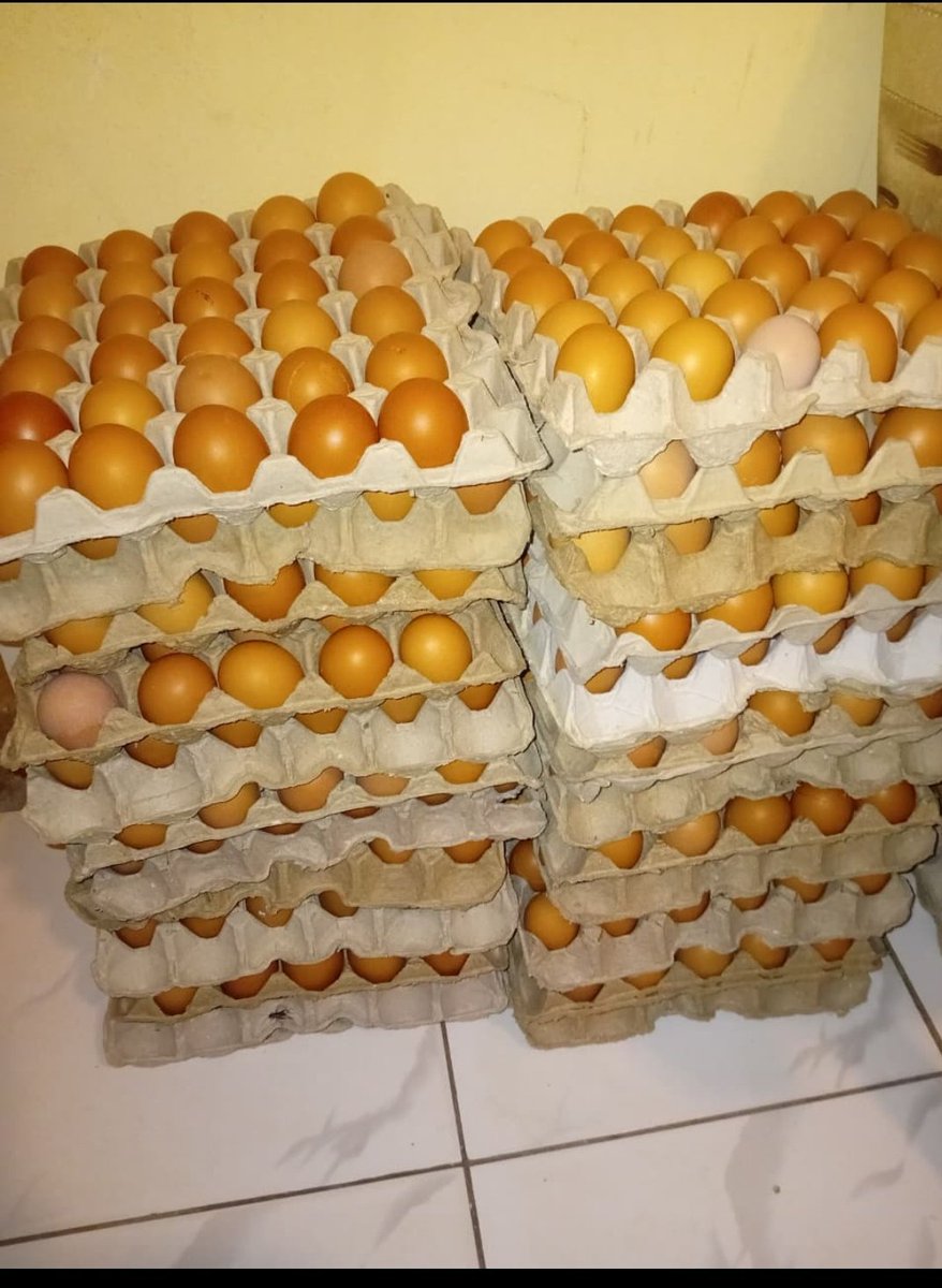 Mahe a available, R55 medium. We deliver in Maseru. C/w 68341897