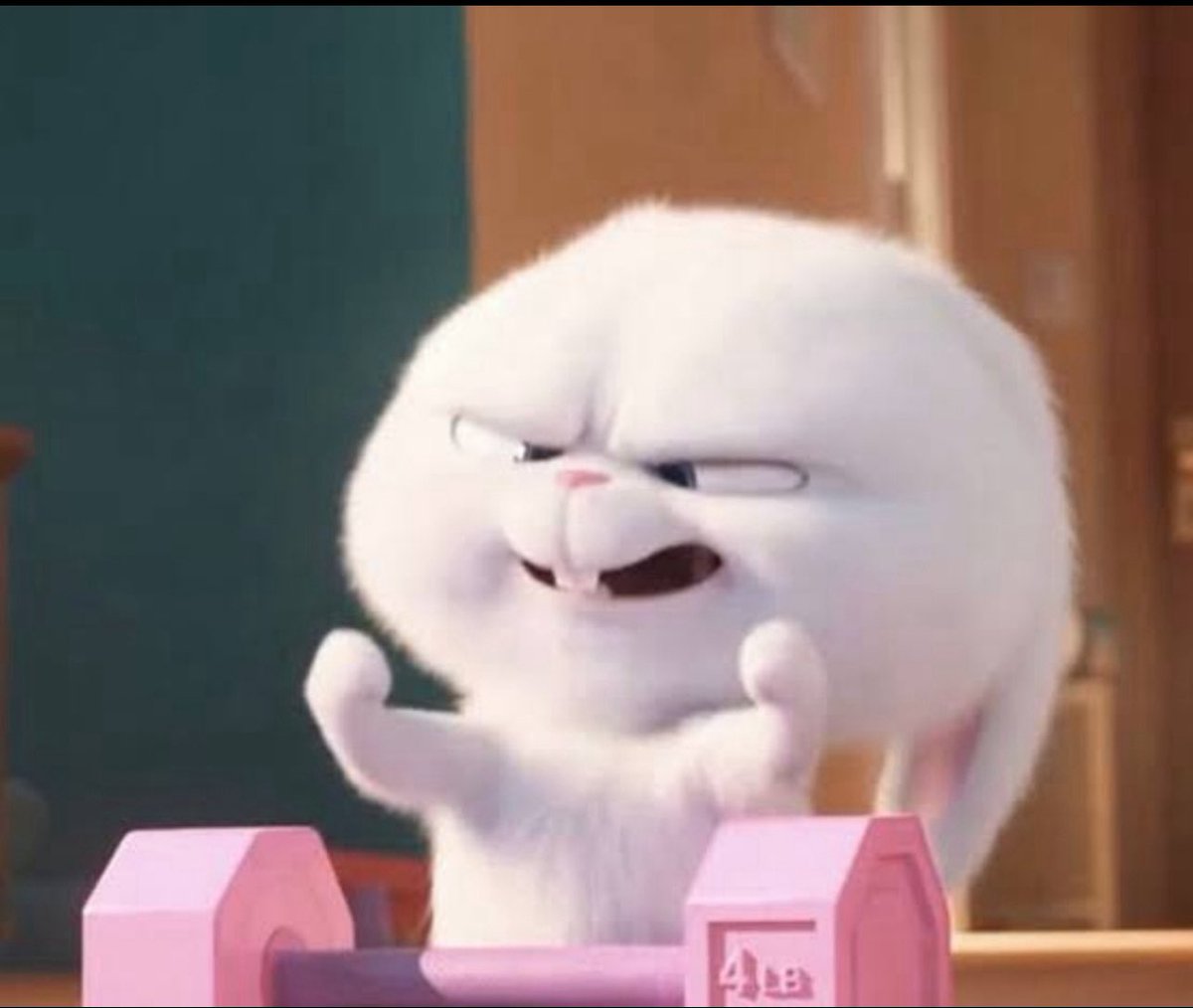 tiffanykeam's tweet photo. ang cute cute mo snowball hahaha @JoshCullen_s https://t.co/YnhlVGTMYC