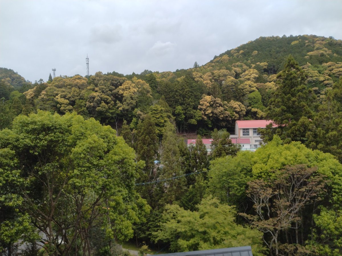 もうすぐ引っ越しして2年。ようやく家の隣にある巨木の登頂に成功致しました！そして、早くも町内の役が回ってきました😅