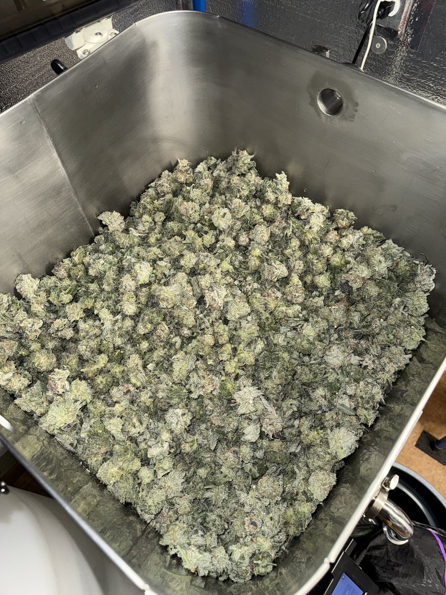 Dammit__Bobby_ tweet media