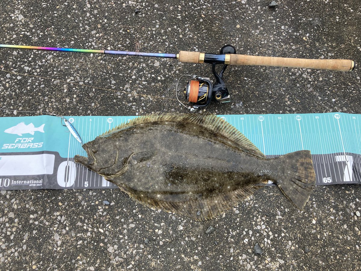 最近の釣果