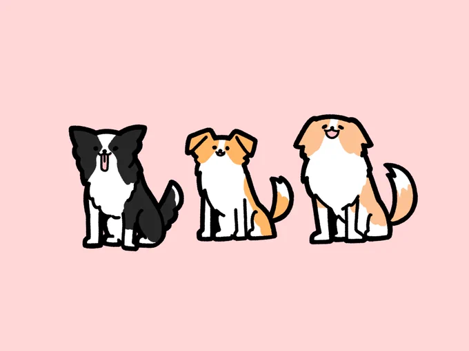 ボーダーコリーイラストとモデルさん達 