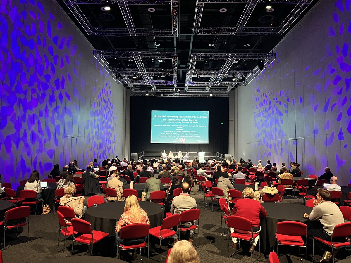 Martin Haese tweet media